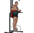 Knee Raise - Hip On Parallel Bars
